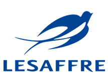 lesaffreandmeiraq